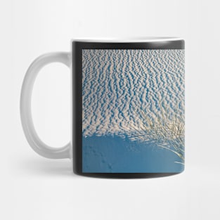 Yucca in White Sand Mug